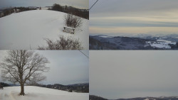 Sdružený snímek Bludný