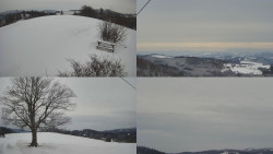 Sdružený snímek Bludný