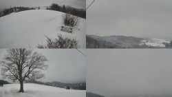 Sdružený snímek Bludný