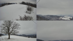 Sdružený snímek Bludný