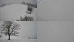 Sdružený snímek Bludný