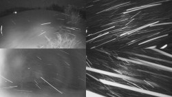 Sdružený snímek Bludný