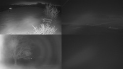 Sdružený snímek Bludný