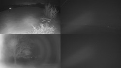 Sdružený snímek Bludný