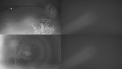 Sdružený snímek Bludný