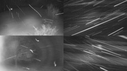 Sdružený snímek Bludný