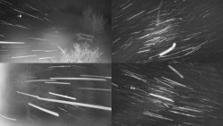 Sdružený snímek Bludný