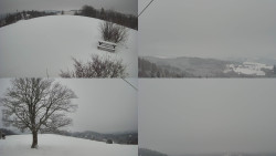 Sdružený snímek Bludný