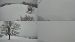 Sdružený snímek Bludný