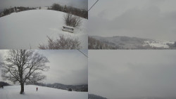 Sdružený snímek Bludný