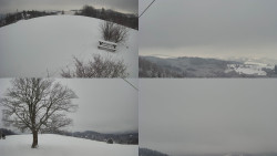 Sdružený snímek Bludný