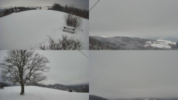 Sdružený snímek Bludný