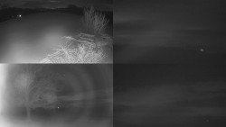 Sdružený snímek Bludný