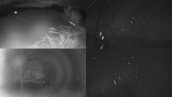 Sdružený snímek Bludný