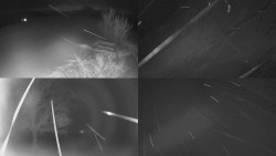 Sdružený snímek Bludný