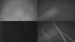 Sdružený snímek Bludný