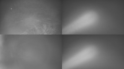 Sdružený snímek Bludný