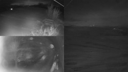 Sdružený snímek Bludný