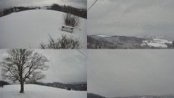 Sdružený snímek Bludný