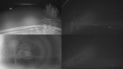 Sdružený snímek Bludný