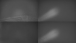 Sdružený snímek Bludný