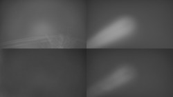 Sdružený snímek Bludný