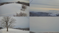 Sdružený snímek Bludný