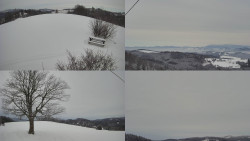 Sdružený snímek Bludný