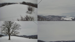 Sdružený snímek Bludný