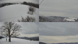 Sdružený snímek Bludný