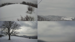 Sdružený snímek Bludný