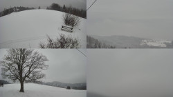 Sdružený snímek Bludný