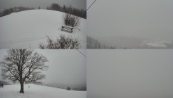 Sdružený snímek Bludný