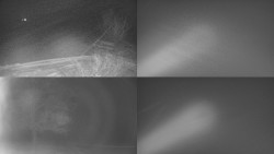 Sdružený snímek Bludný