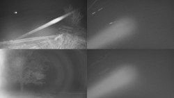 Sdružený snímek Bludný