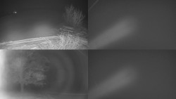 Sdružený snímek Bludný