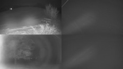 Sdružený snímek Bludný