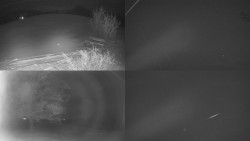 Sdružený snímek Bludný