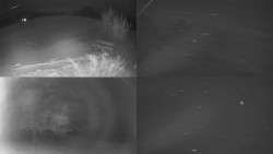 Sdružený snímek Bludný