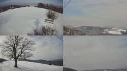 Sdružený snímek Bludný