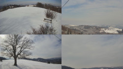 Sdružený snímek Bludný