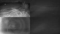 Sdružený snímek Bludný