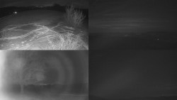 Sdružený snímek Bludný