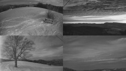 Sdružený snímek Bludný