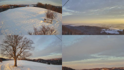 Sdružený snímek Bludný