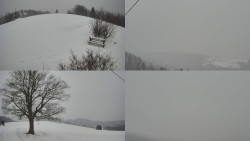 Sdružený snímek Bludný