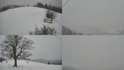 Sdružený snímek Bludný