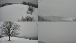 Sdružený snímek Bludný