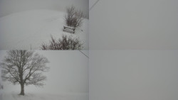 Sdružený snímek Bludný