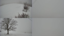 Sdružený snímek Bludný